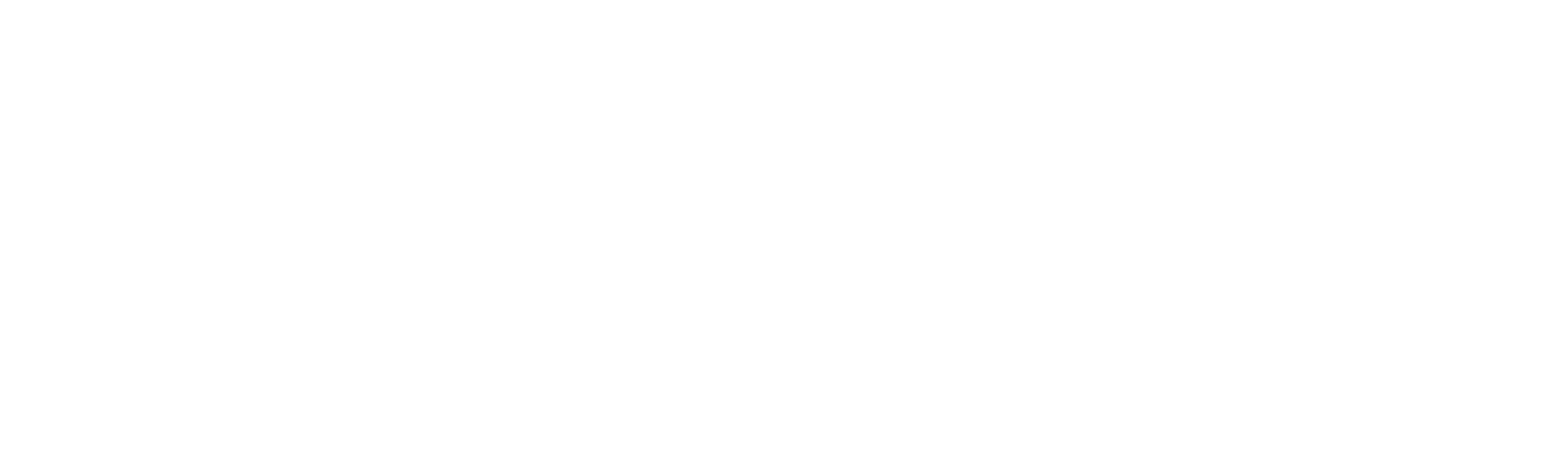 Witch Hunters logo